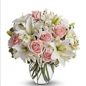 Meet your Posher, Nisso